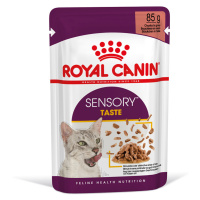 Royal Canin Sensory Taste v omáčce - 96 x 85 g