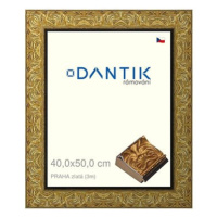 DANTIK rámeček 40 × 50, PRAHA zlatý sklo čiré