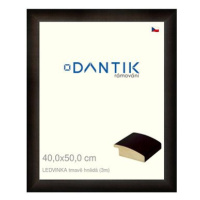 DANTIK rámeček 40 × 50, LEDVINKA tmavě hnědý plexi čiré