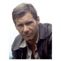 Fotografie Harrison Ford, 26.7 × 40 cm