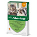 Advantage Spot-on pro malé kočky a králíky 40 mg 4x0,4 ml