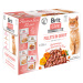Brit Care Cat Fillets in Gravy 12 x 85 g - výhodné balení: 2 x Flavour box