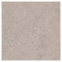 Dlažba Pastorelli Biophilic grey 80x80 cm mat P009419