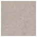 Dlažba Pastorelli Biophilic grey 80x80 cm mat P009419