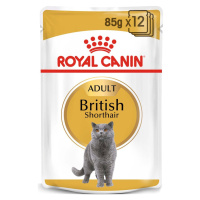 ROYAL CANIN British Shorthair Adult pro britské krátkosrsté kočky 48 × 85 g