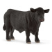 Schleich 13879 angusský černý býk