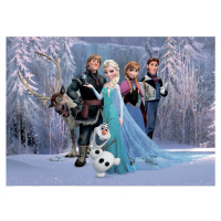 Dětská fototapeta Frozen, 156 x 112 cm