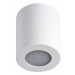 Koupelnové stropní svítidlo SANI 1xGU10/10W/230V IP44 bílá