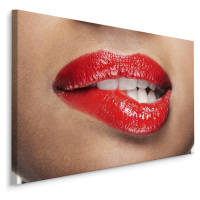 MyBestHome BOX Plátno Sexy Lips Varianta: 40x30