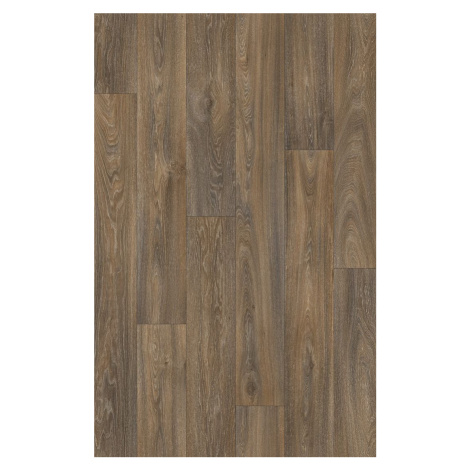 Beauflor PVC podlaha - lino Ambient Havanna Oak 669D - dub - Rozměr na míru cm