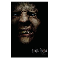 Umělecký tisk Harry Potter  - Fenrir Greyback, 26.7 × 40 cm