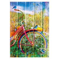 Bluebirds on a Bicycle - puzzle z kategorie Umělecké