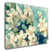 Impresi Obraz Třešňový květ modré pozadí - 70 x 50 cm