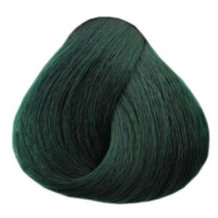 Black glam colors - permanentní barva na vlasy, 100 ml GL- C6 - Ivy Green