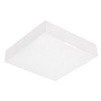 Emithor 63216 - LED Stropní svítidlo SURFACE 1xLED/15W/230V