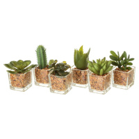Umělé rostliny v sadě 6 ks (výška 8 cm) Cactus – Casa Selección