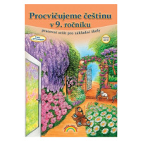 Procvičujeme češtinu v 9. ročníku - pracovní sešit, Čtení s porozuměním 99-60 Nakladatelství Nov