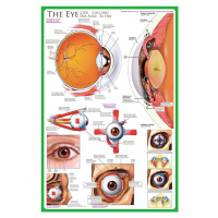 Plakát, Obraz - The eye, 91.5 cm