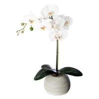 ATMOSPHERA Orchidee Real Touch Cim H.53