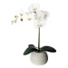 ATMOSPHERA Orchidee Real Touch Cim H.53