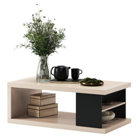 Konferenční stůl s policí a úložným prostorem LORA béžová/černá 5903631917509