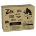 Megapack Felix ("So gut...") kapsičky 80 x 85 g - rybí mix (4 druhy)