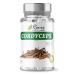 Revix Cordyceps 90 cps