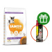 IAMS Dog Puppy Small & Medium Chicken 12 kg