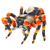 Pavouk hnědý plyšový 25cm