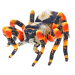 Pavouk hnědý plyšový 25cm