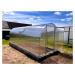 Zahradní skleník LEGI TOMATO 6 x 2 m, 4 mm GA179964