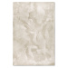 Villeroy & Boch - Hanse Home koberce Kusový koberec Villeroy & Boch 106159 Beige - 160x230 cm