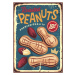 Ilustrace Peanuts vintage metal sign design, lukeruk, 30x40 cm