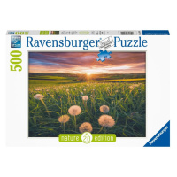 RAVENSBURGER - Pampelišky v západu slunce 500 dílků