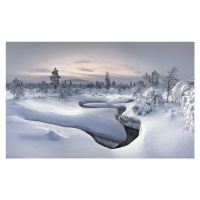 Fotografie Lapland, ChristianSchweiger, 40 × 24.8 cm