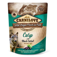 Carnilove Dog kapsička Paté Carp & Black Carrot 300g