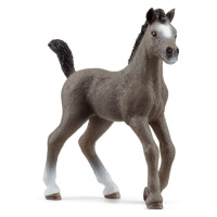 Schleich Hříbě plemene Selle Français