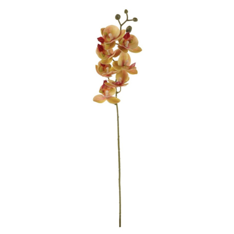 Umělá květina Orchidej tmavě růžová, 10 x 10 x 63 cm Autronic