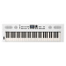 Roland GO:KEYS 5 - White