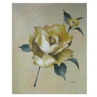Obraz - Bílá růže