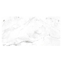 Gres Base Marble Cararra Bianco 60/120