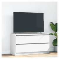 vidaXL TV skříňka bílá 100x35x54 cm Dřevěná konstrukce