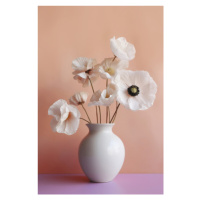 Fotografie White Poppy In White Vase, Treechild, 26.7x40 cm