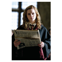 Umělecký tisk Harry Potter - Hermione, 26.7 × 40 cm