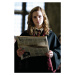 Umělecký tisk Harry Potter - Hermione, (26.7 x 40 cm)