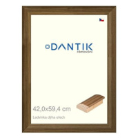 DANTIK rámeček 42 × 59,4, LEDVINKA dýha ořech plexi čiré