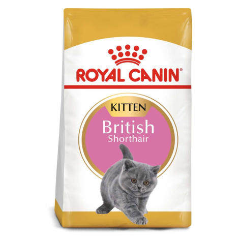 ROYAL CANIN British Shorthair suché krmivo pro koťata 10 kg