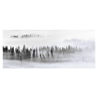 Fotografie Foggy Forest, Mei Xu, 50 × 21.1 cm