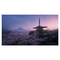 Fotografie Mt Fuji Sakura, Javier de la, (40 x 22.5 cm)