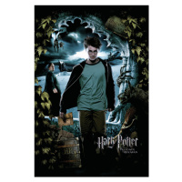 Umělecký tisk Harry Potter - Harry, 26.7 × 40 cm